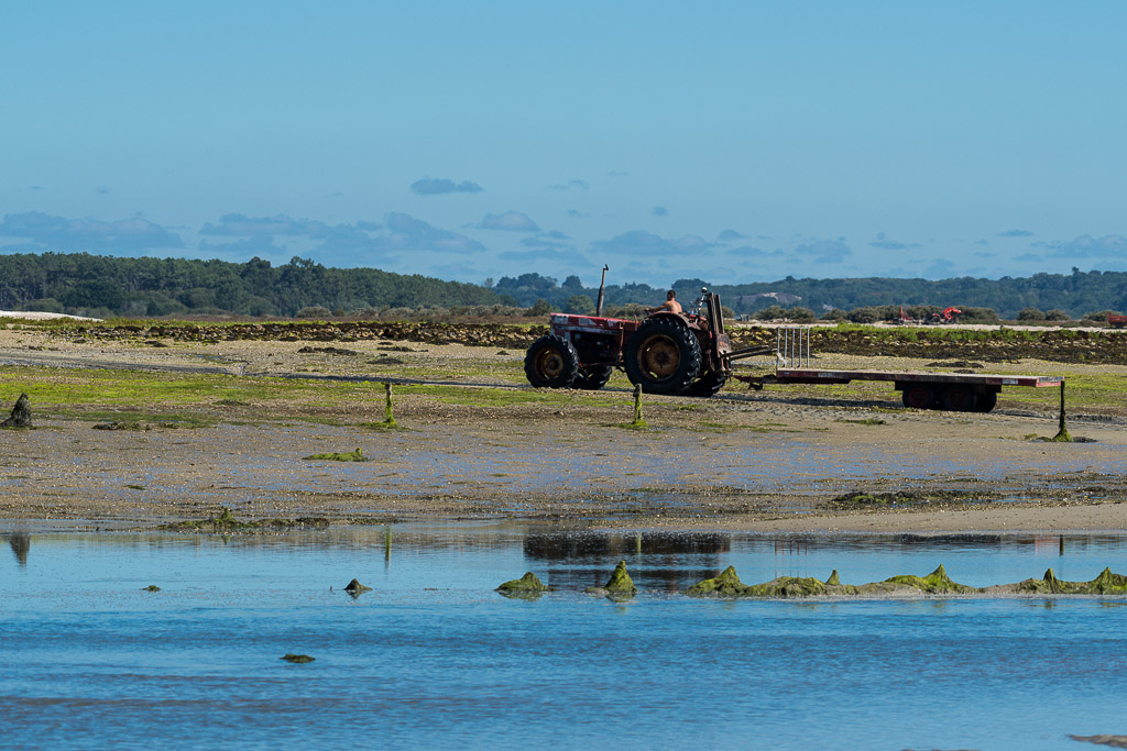 Red tractor and trailer parked on seaweed flat, reflected in a channel, Le Croisic, Brittany, France