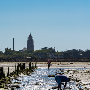 Vertical shellfish gatherer bent in sparkling channel, church tower beyond, Le Croisic, Brittany, France