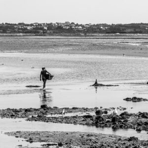 Black-and-white shellfish gatherer carrying basket across shallow flats among rocks, Le Croisic, Brittany, France