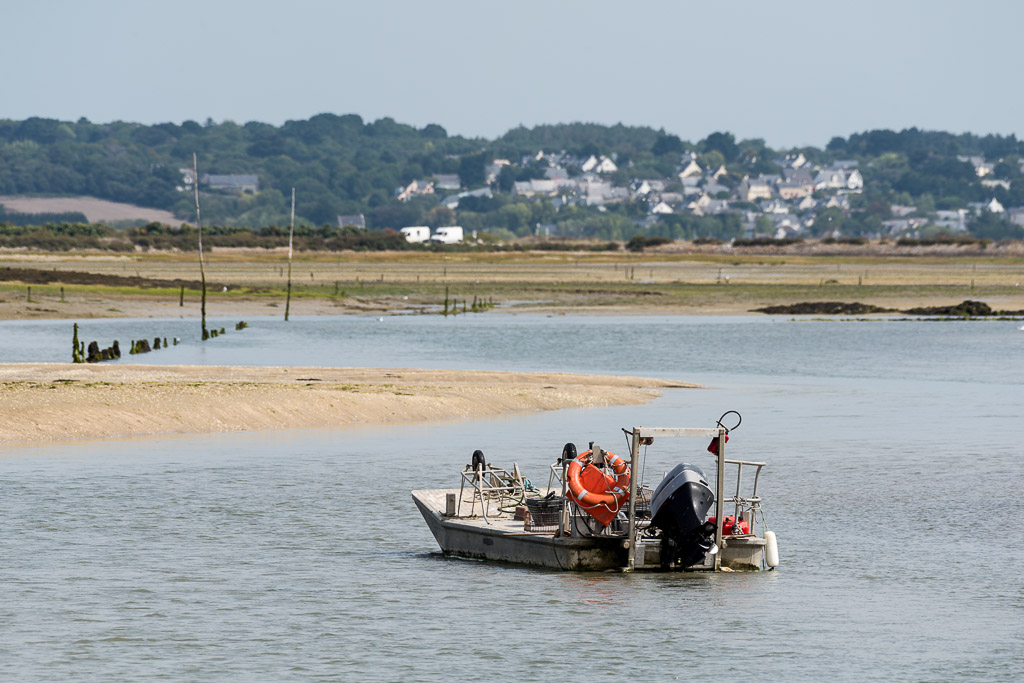 Small work boat with orange buoys moored in tidal channel before salt meadows, Le Croisic, Brittany, France