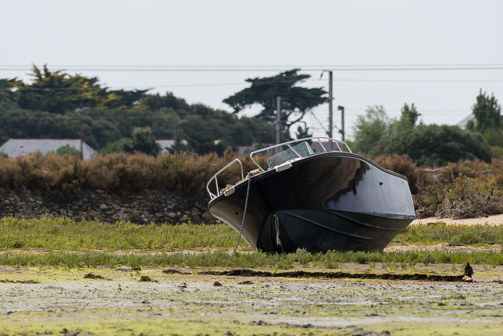Bateau à moteur sombre échoué sur le pré salé à marée basse, Le Croisic, Bretagne, France
