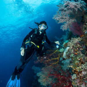 Woman diver beside a reef wall with soft corals, vertical, Misool, Raja Ampat, Indonesia