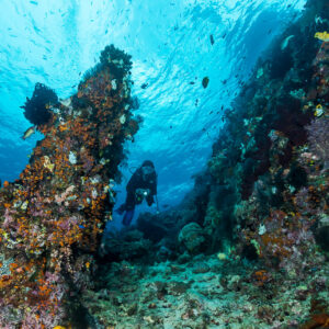 Small diver in a channel between rocky pinnacles, vertical, Misool, Raja Ampat, Indonesia