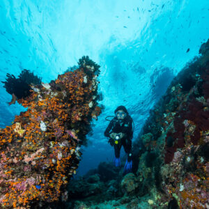Woman diver between two encrusted pinnacles, closer vertical framing, Misool, Raja Ampat, Indonesia