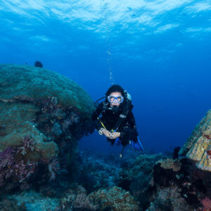 Woman diver facing the camera between two coral heads, Misool, Raja Ampat, Indonesia