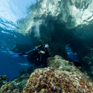 Diver beneath a rocky overhang close to the surface, Misool, Raja Ampat, Indonesia