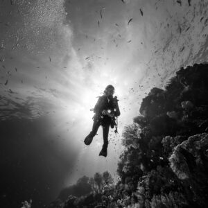 Black and white diver silhouette against a sunburst beside a reef wall, vertical, Misool, Raja Ampat, Indonesia