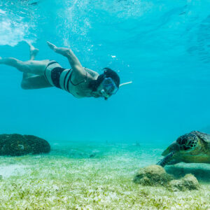 Snorkeleuse en apnée au-dessus d’une tortue verte sur l’herbier, Misool, Raja Ampat, Indonésie