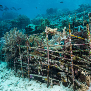 Rusty artificial reef frame on sand with coral growth and fish, Misool, Raja Ampat, Indonesia