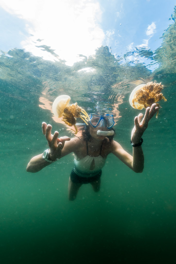 Snorkeler facing camera with a golden jellyfish in each hand, Misool jellyfish lake, Raja Ampat, Indonesia