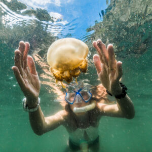 Snorkeler framing a golden jellyfish between her open hands, Misool jellyfish lake, Raja Ampat, Indonesia