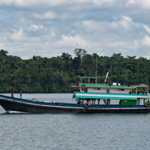 Wooden cargo boat with green and white cabin cruising past forest, Misool, Raja Ampat, Indonesia