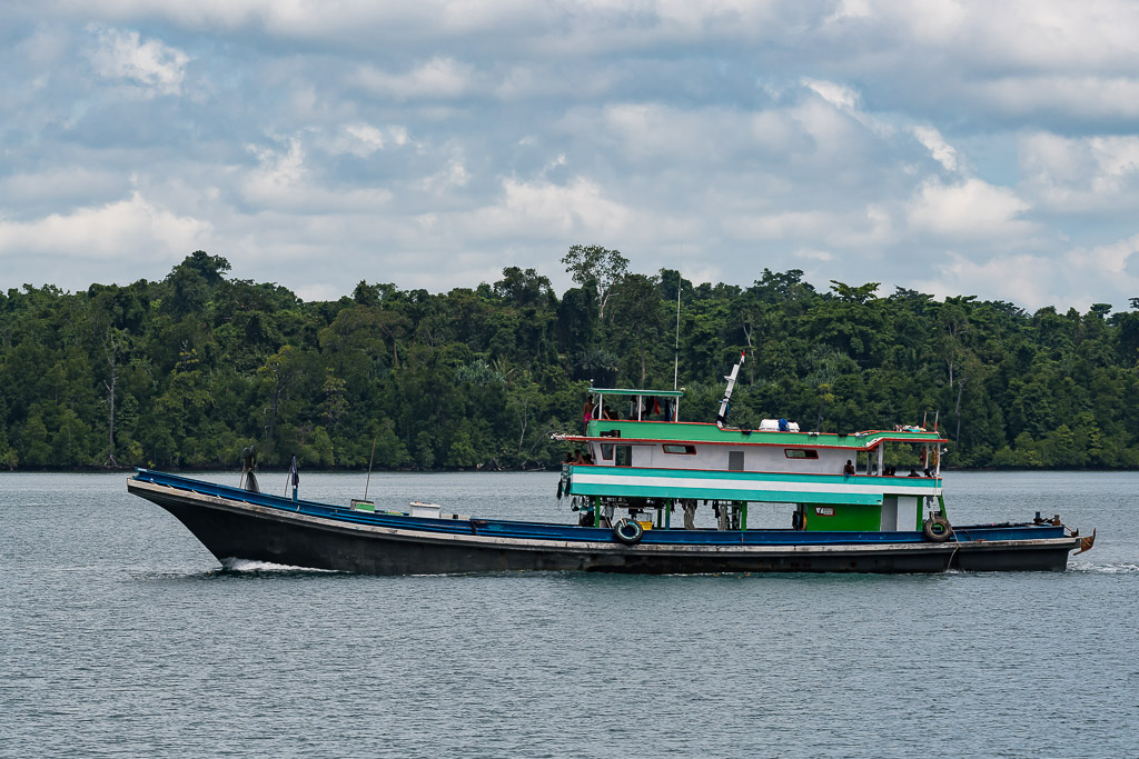 Wooden cargo boat with green and white cabin cruising past forest, Misool, Raja Ampat, Indonesia