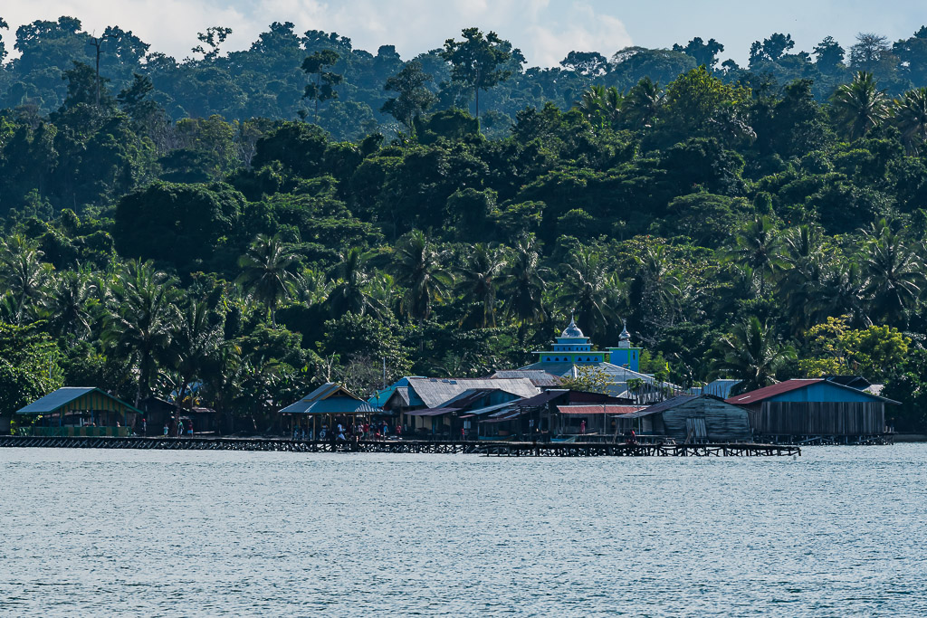 Stilt village with blue mosque below jungle-covered hills, Misool, Raja Ampat, Indonesia