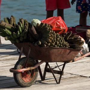 Wheelbarrow loaded with green bananas on a wooden jetty, Misool, Raja Ampat, Indonesia