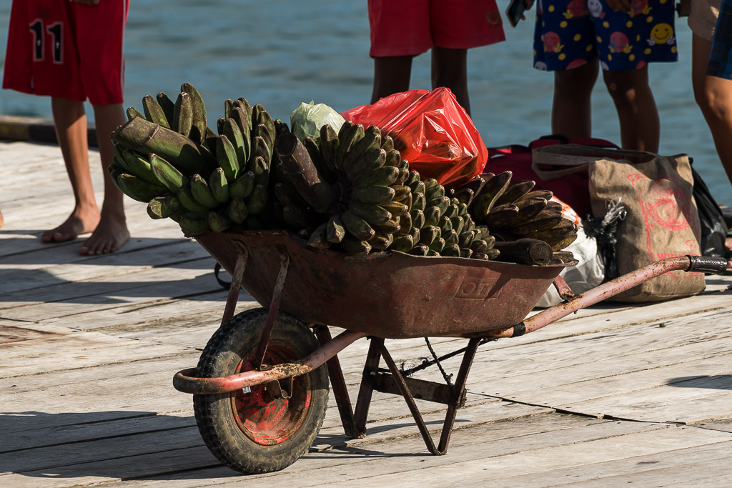 Wheelbarrow loaded with green bananas on a wooden jetty, Misool, Raja Ampat, Indonesia