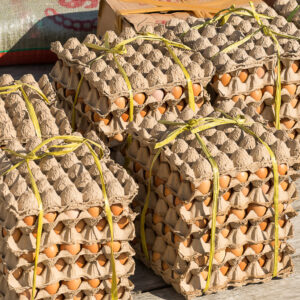 Stacks of egg trays tied with string on a wooden jetty, Misool, Raja Ampat, Indonesia