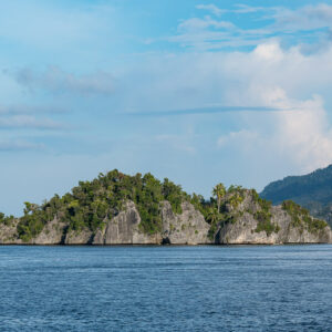 Low limestone islet with jungle cover under a bright sky, Misool, Raja Ampat, Indonesia