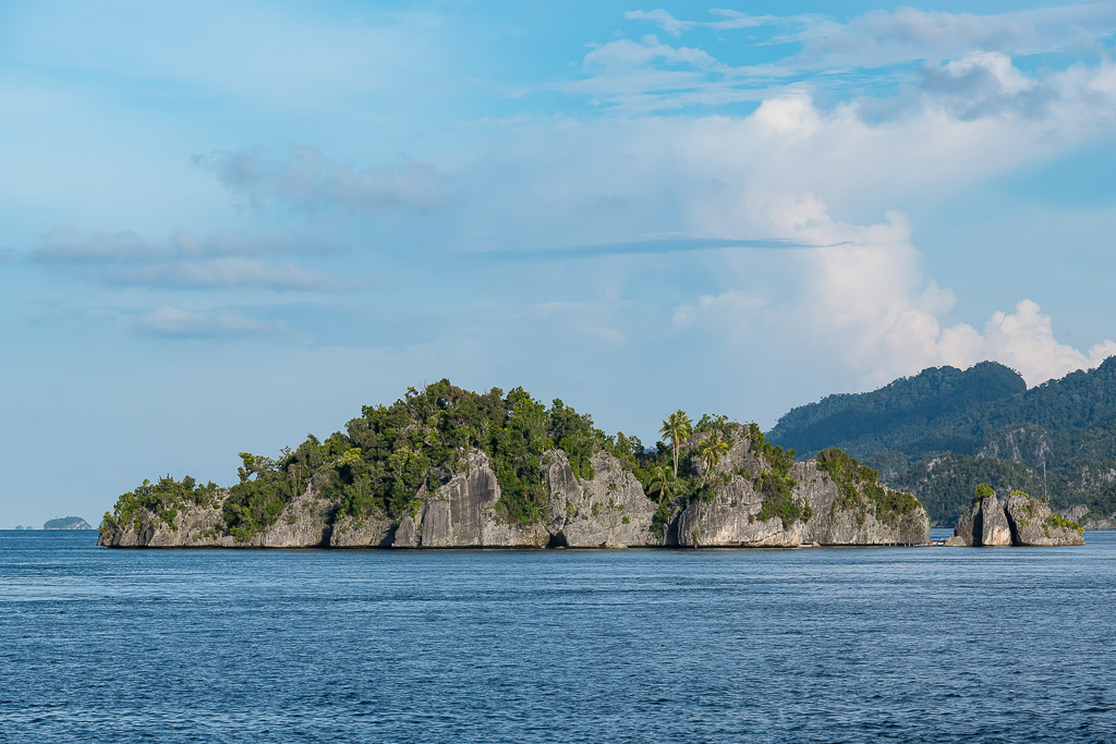 Low limestone islet with jungle cover under a bright sky, Misool, Raja Ampat, Indonesia