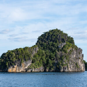 Mushroom-shaped limestone karst island with sheer cliffs, Misool, Raja Ampat, Indonesia