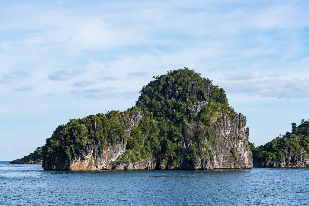 Mushroom-shaped limestone karst island with sheer cliffs, Misool, Raja Ampat, Indonesia