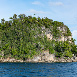 Flat-topped jungle-covered karst island with palm trees on top, Misool, Raja Ampat, Indonesia