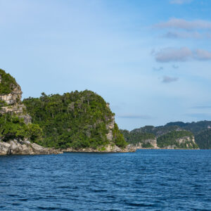 Successive rocky karst headlands receding along a blue sea, Misool, Raja Ampat, Indonesia