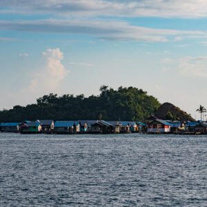 Village sur pilotis étiré devant un îlot boisé et un palmier, Misool, Raja Ampat, Indonésie