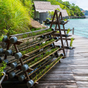 Vertical garden racks of planted pipes along a seaside boardwalk, Misool, Raja Ampat, Indonesia