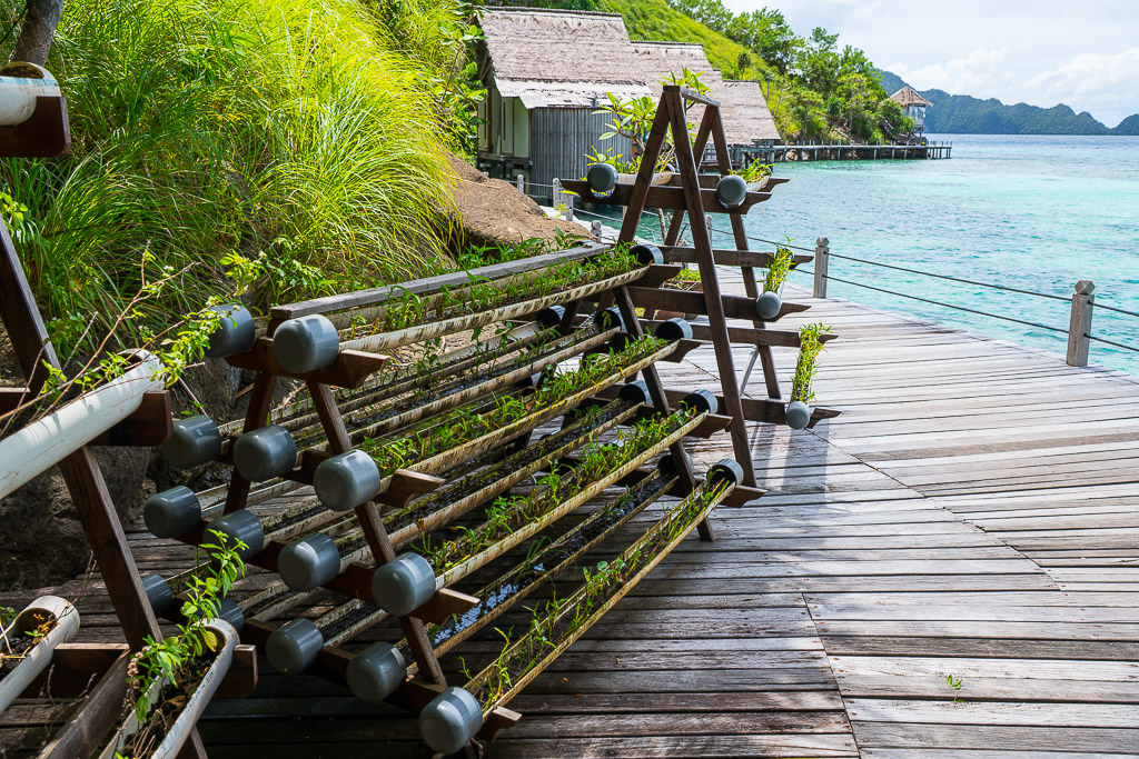 Vertical garden racks of planted pipes along a seaside boardwalk, Misool, Raja Ampat, Indonesia