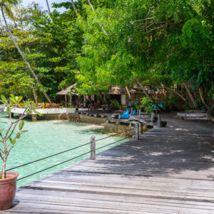 Boardwalk with potted plant leading to a beach under tropical trees, Misool, Raja Ampat, Indonesia
