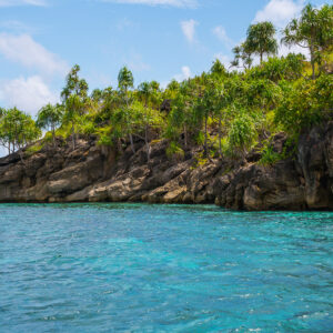 Rocky headland crowned with pandanus trees over turquoise water, Misool, Raja Ampat, Indonesia