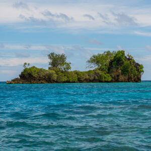 Small islet with a few trees on a choppy blue sea, Misool, Raja Ampat, Indonesia