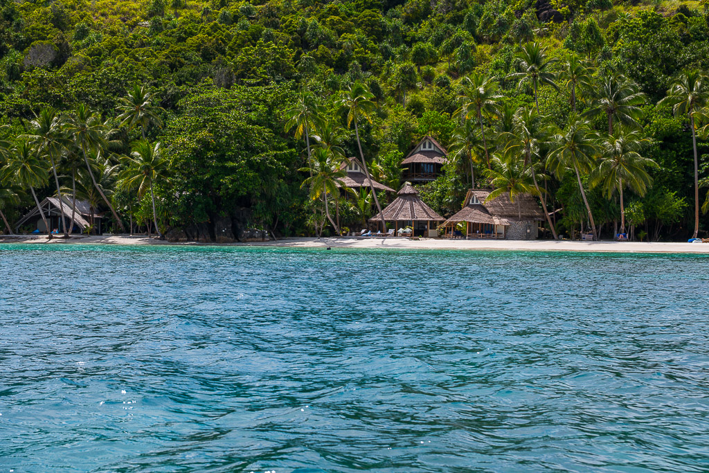Villas en chaume parmi les cocotiers sur le sable blanc, Misool, Raja Ampat, Indonésie