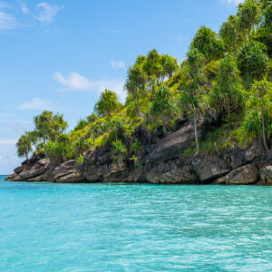 Rocky headland covered with pandanus trees above turquoise water, Misool, Raja Ampat, Indonesia
