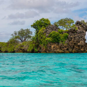 Rocky islet with a tree-topped pinnacle over turquoise sea, Misool, Raja Ampat, Indonesia