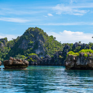 Pointed karst island with eroded rocks and palms in foreground, Misool, Raja Ampat, Indonesia