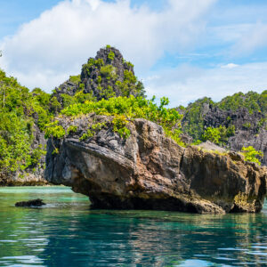 Mushroom-shaped eroded rock in front of white limestone cliffs, Misool, Raja Ampat, Indonesia