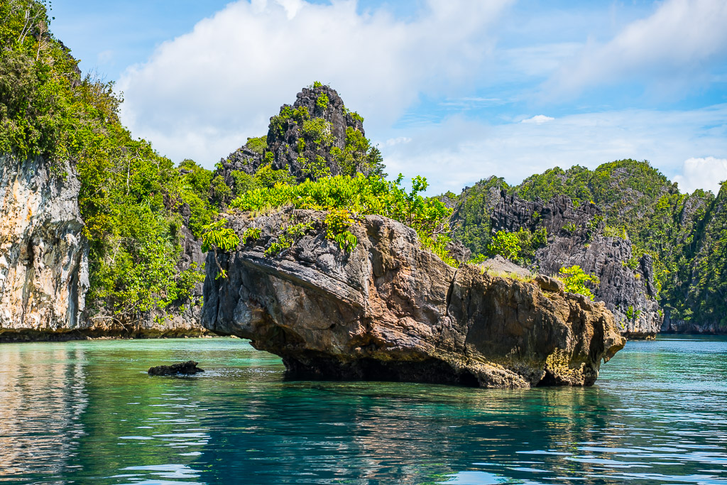 Mushroom-shaped eroded rock in front of white limestone cliffs, Misool, Raja Ampat, Indonesia
