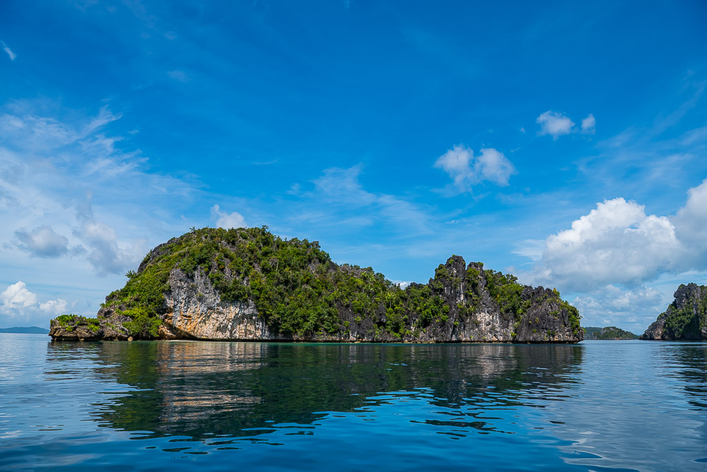 Île karstique boisée se reflétant dans une eau bleue et calme, Misool, Raja Ampat, Indonésie