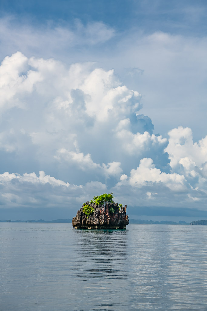 Lone tiny rock islet under towering clouds, vertical, Misool, Raja Ampat, Indonesia