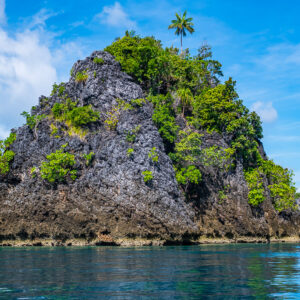 Jagged pyramid-shaped karst islet topped by a palm tree, Misool, Raja Ampat, Indonesia