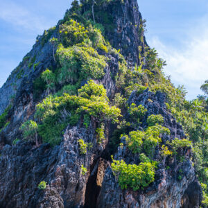 Vue verticale rapprochée d’un piton karstique abrupt et végétalisé, Misool, Raja Ampat, Indonésie