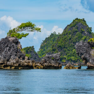 Jagged karst rocks with a wind-shaped tree on top, Misool, Raja Ampat, Indonesia