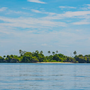 Flat island with palm trees and white beach on the horizon, Misool, Raja Ampat, Indonesia