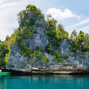 Massive grey karst islet with sparse vegetation and undercut base, Misool, Raja Ampat, Indonesia