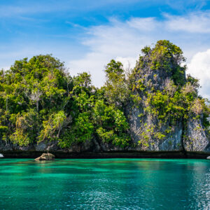 Twin-peaked jungle-covered karst island over emerald water, Misool, Raja Ampat, Indonesia