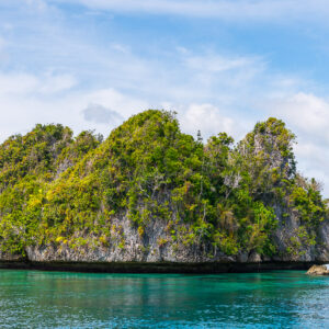 Broad green karst island with undercut base over calm water, Misool, Raja Ampat, Indonesia