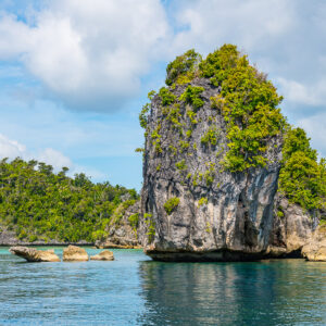 Haute colonne calcaire érodée à côté d’une île boisée, Misool, Raja Ampat, Indonésie