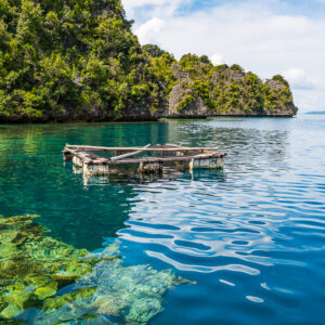 Wooden raft floating over coral in a crystal-clear karst lagoon, Misool, Raja Ampat, Indonesia
